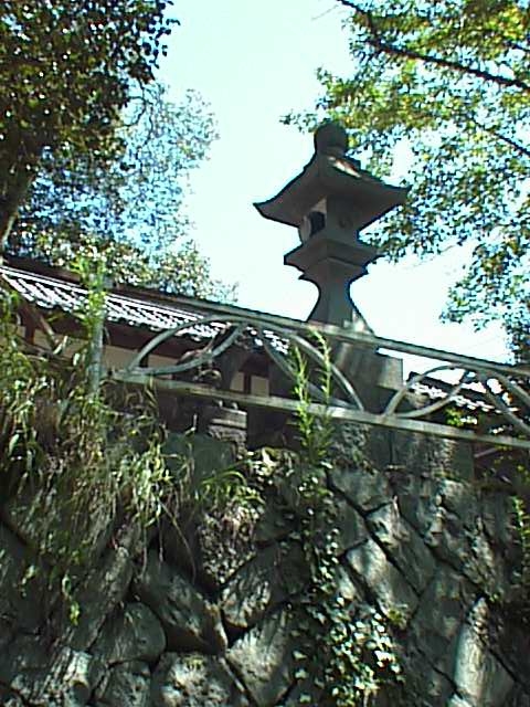 039.jpg
