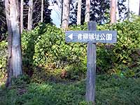 0005