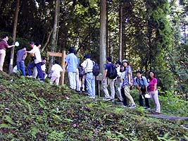 いや、大手道を行くんじゃ!(まつかぜ殿)