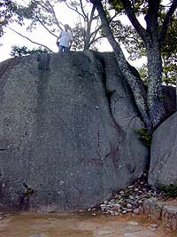 DSCN0238
