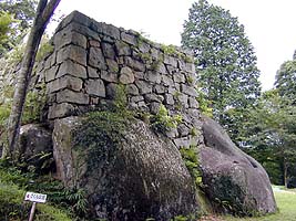 DSCN0213