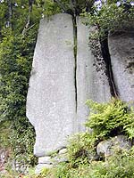 DSCN0208