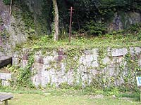 DSCN0232