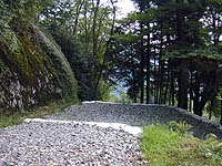 DSCN0234