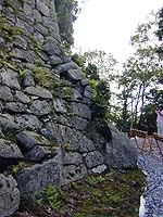 DSCN0245