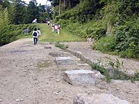 DSCN0246