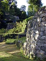 DSCN0249