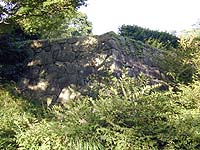 DSCN0250