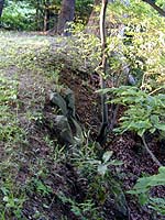 古い野面