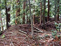 中門に向いている(古い時代のものか?)