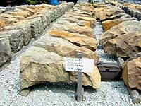 Dscn0014.jpg