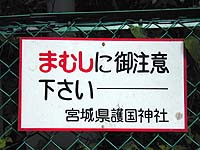 5月には巽櫓付近で蛇を見た (^^;