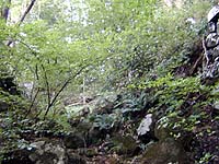 Dscn0075.jpg