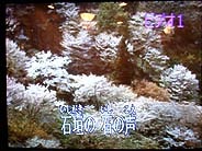 Dscn0096.jpg
