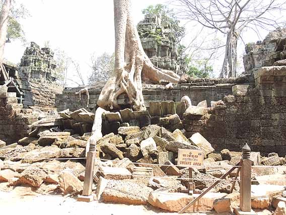 Ta Prohm / Siem Reap / Cambodia