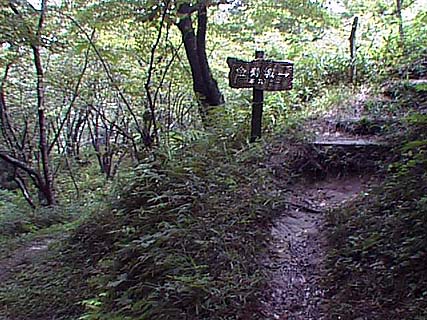 $BK\4]$r6b<w>k$H$b$$$&$=$&$G$9(B