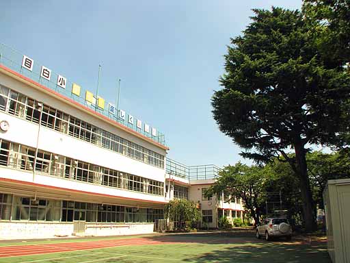 2012年8月24日の校舎とヒマラヤ杉
